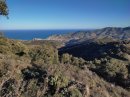 Vue sur Banyuls